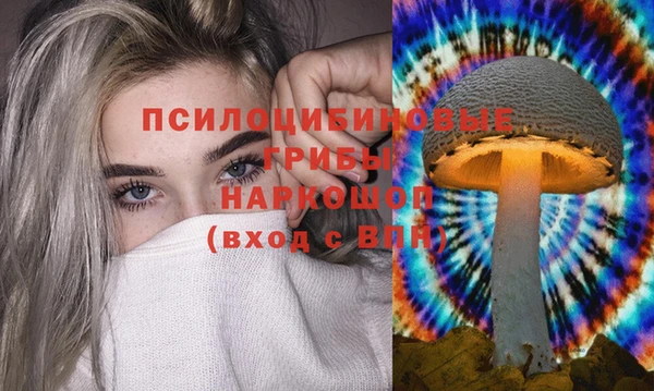 ешки Вязьма