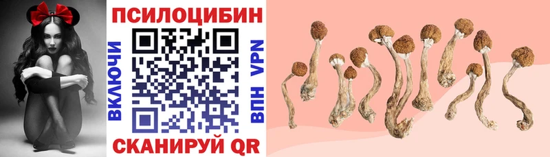 Купить где  Учалы  Галлюциногенные грибы прущие грибы 
